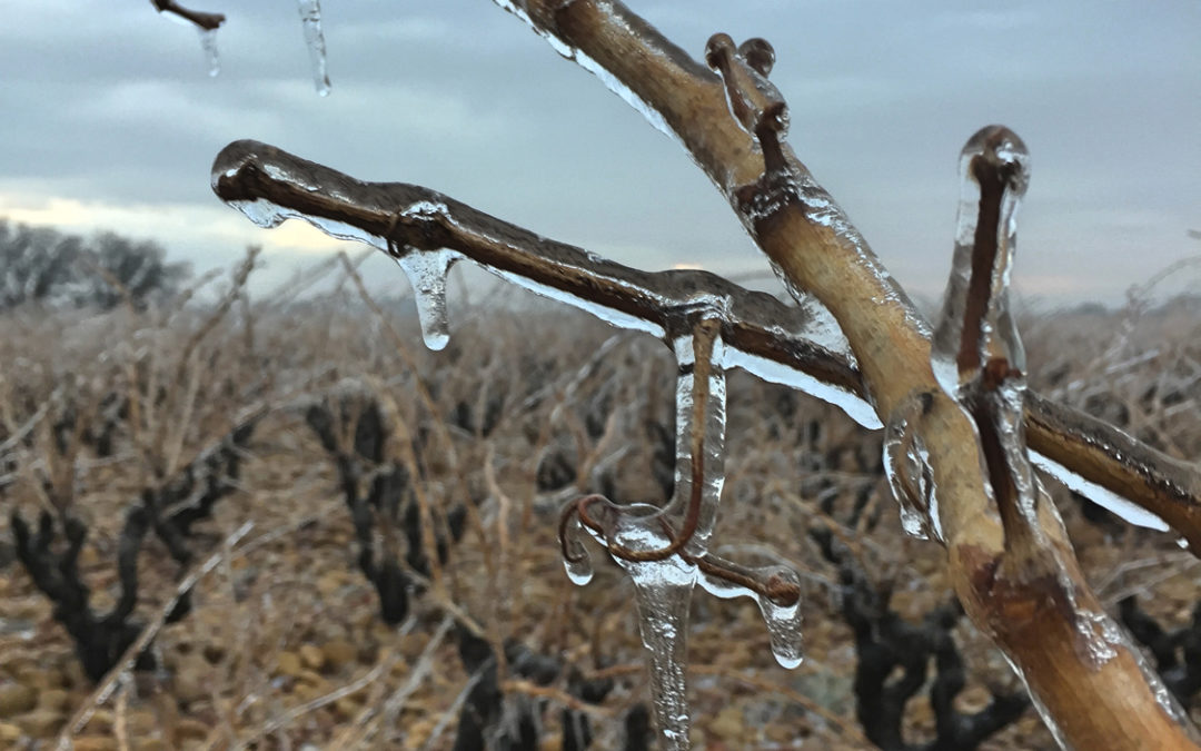 Châteauneuf-du-pape dans la glace