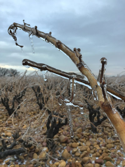 Châteauneuf-du-pape dans la glace
