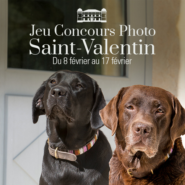 Concours Photos • Saint-Valentin