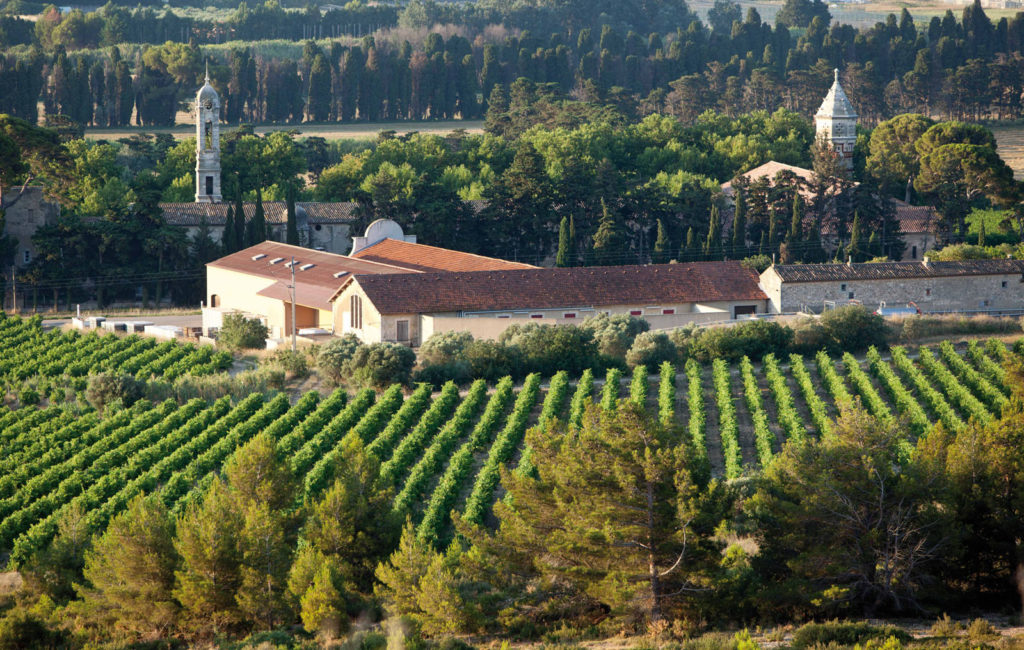 Vue de la cave du Château Calissanne