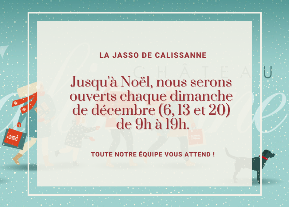 Nos horaires pendant les fêtes