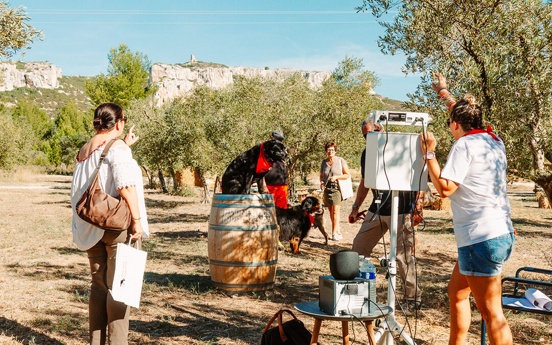 WINE DOGS IN PROVENCE  – RETOUR EN IMAGES