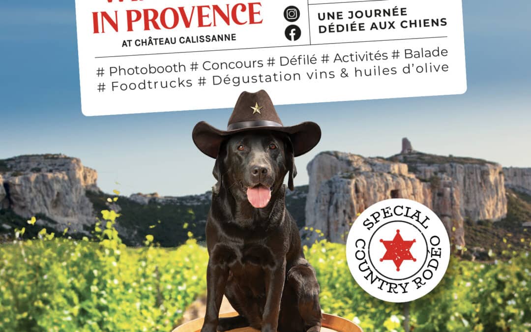Wine Dogs in Provence 2025