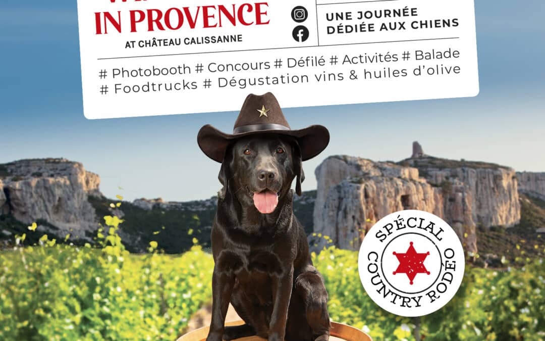 Wine Dogs in Provence 2025