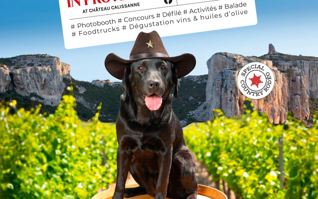 Wine Dogs in Provence 2025