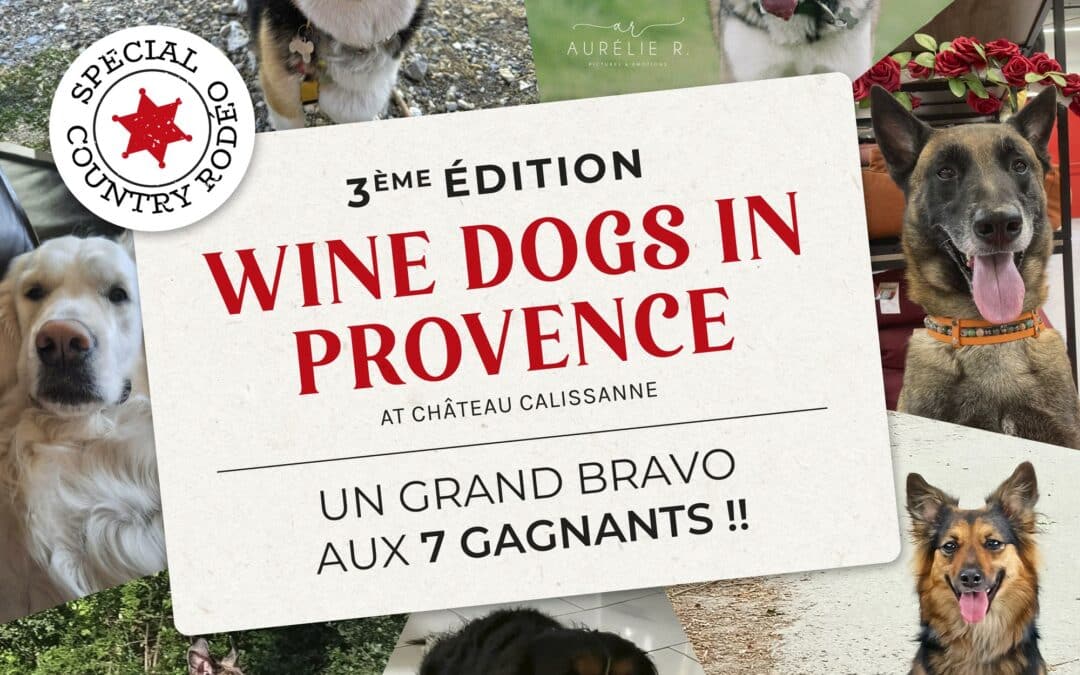 Concours photos Wine Dogs 2025 – Les gagnants