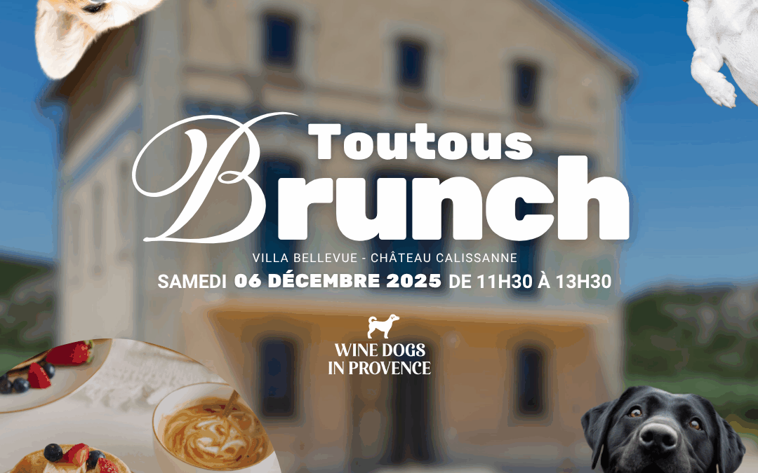 Toutous Brunch • Samedi 6 décembre