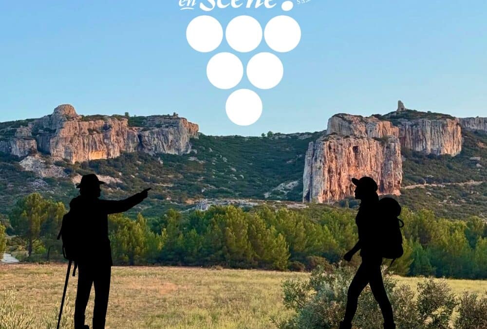 Vignobles en Scène au Château Calissanne