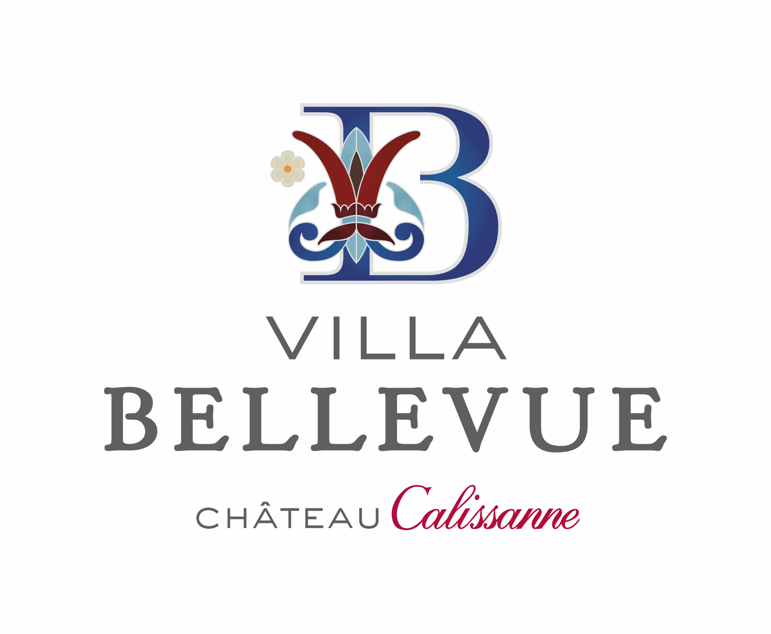 LOGO-VILLA-BELLEVUE-UTILISATION-2023