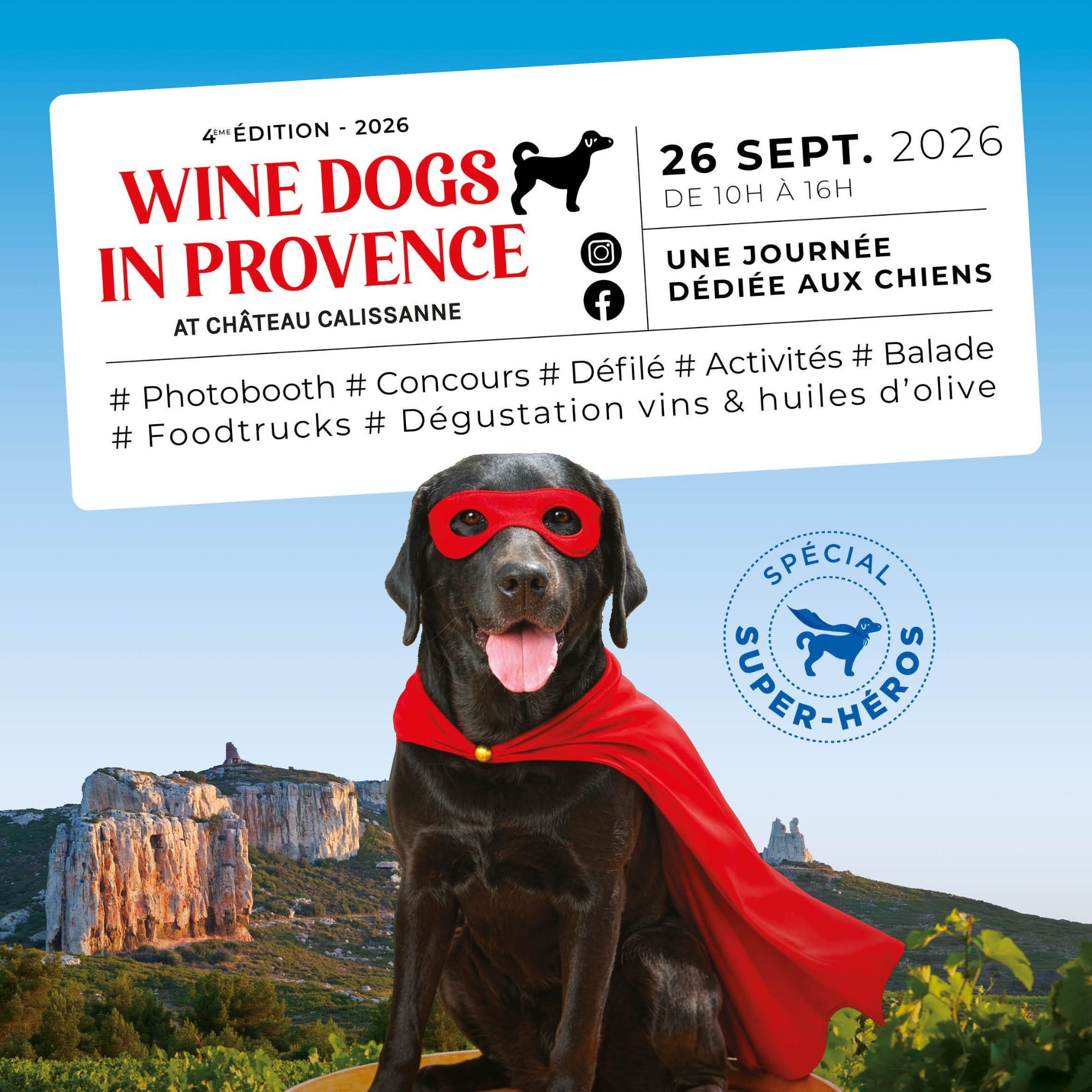 20260420-wine-dogs-in-provence