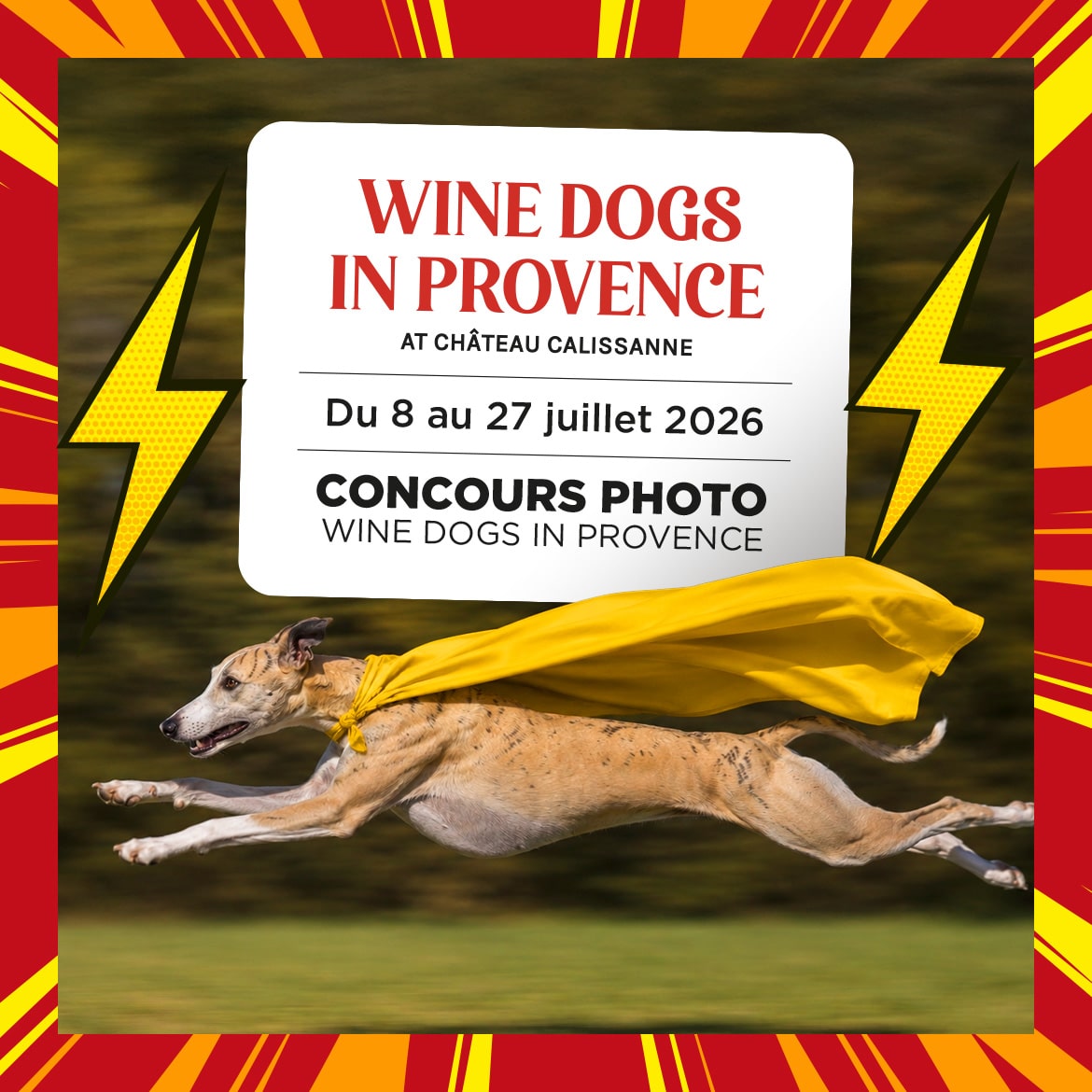 winedog-visuel-1080×1080-3