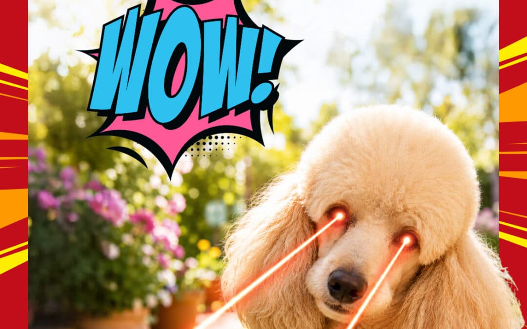 🐾 Votez pour le Wine Dogs in Provence 2026