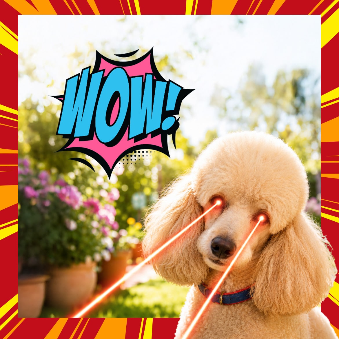 winedog-visuel-1080×1080-5-2