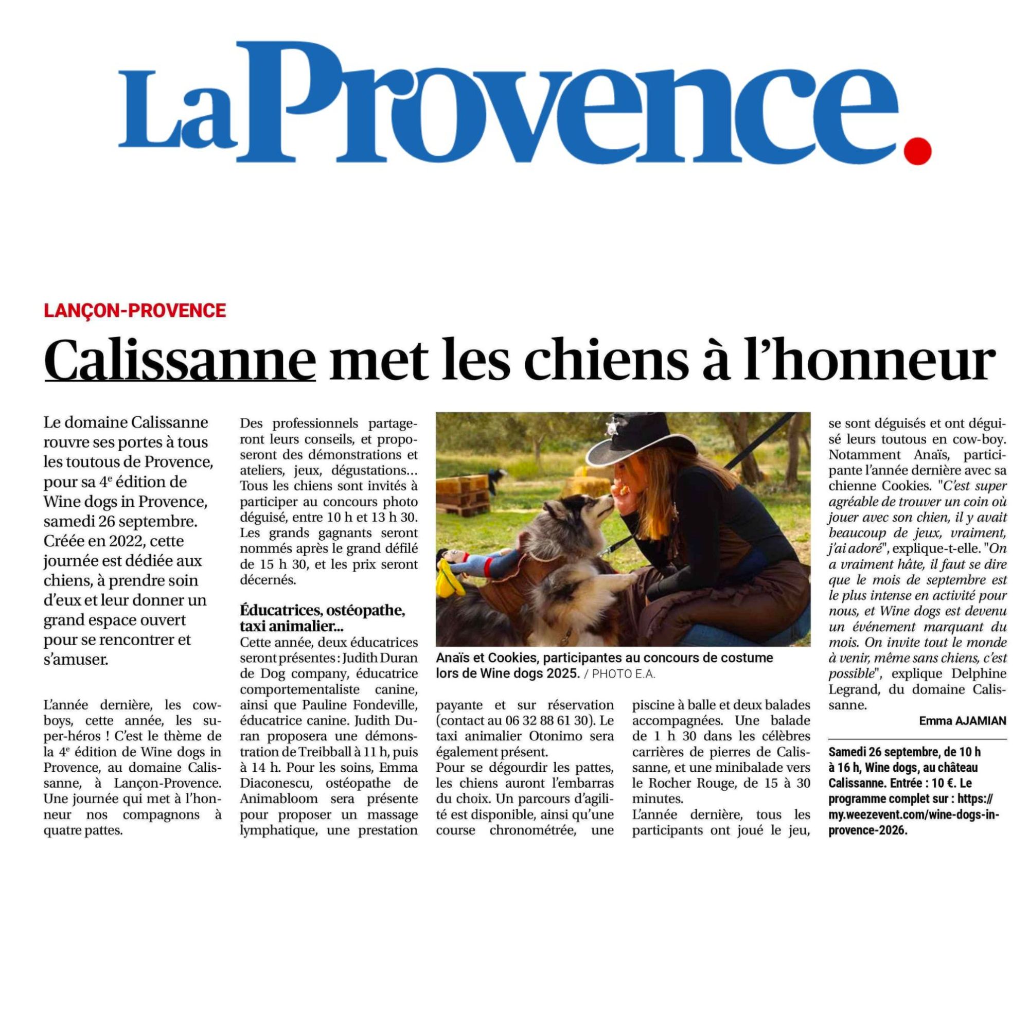 wine-dogs-la-provence