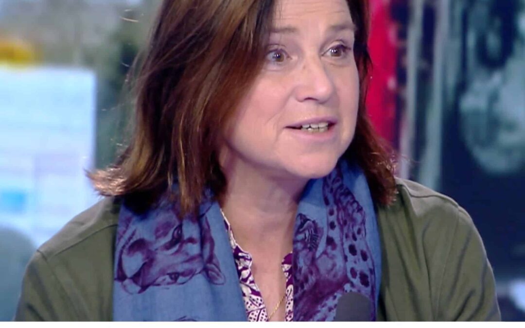 Vignette-actu-cnews-salon-agriculture