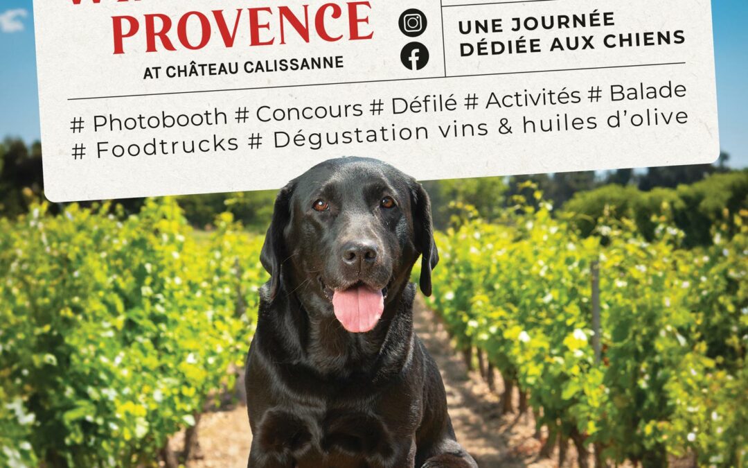 WINE-DOG-CALISSANNE-ACTU