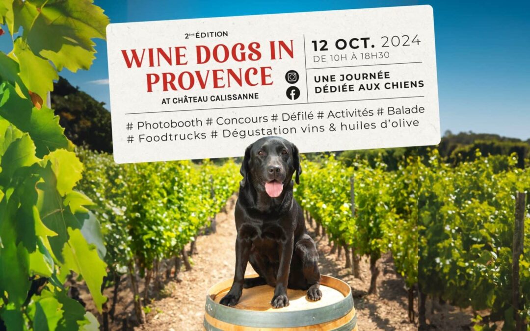 WINE-DOG-CALISSANNE-V1-OK-bannière