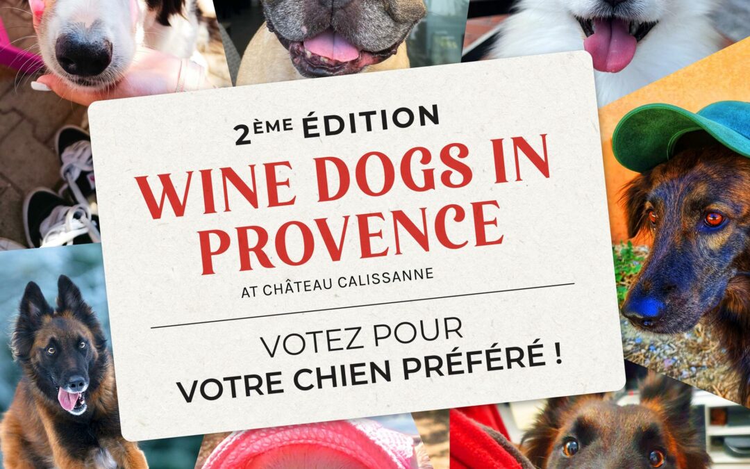 Wine-Dogs-Calissanne-Carre