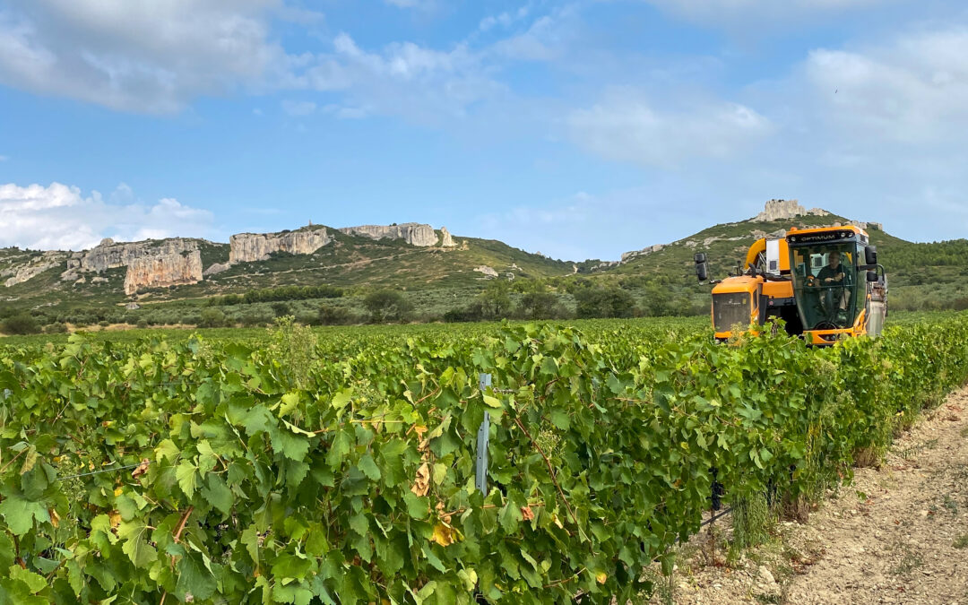 actu-vendanges-2021