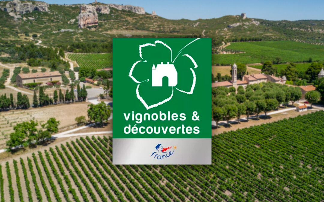 vignobles-decouvertes-calissanne