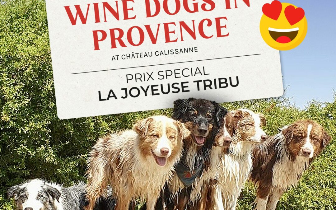 winedog-joyeuse-tribu
