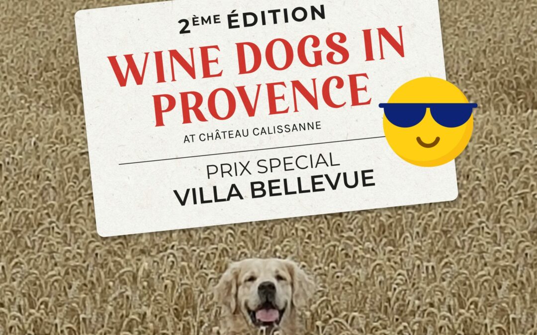 winedog-villa-bellevue-2