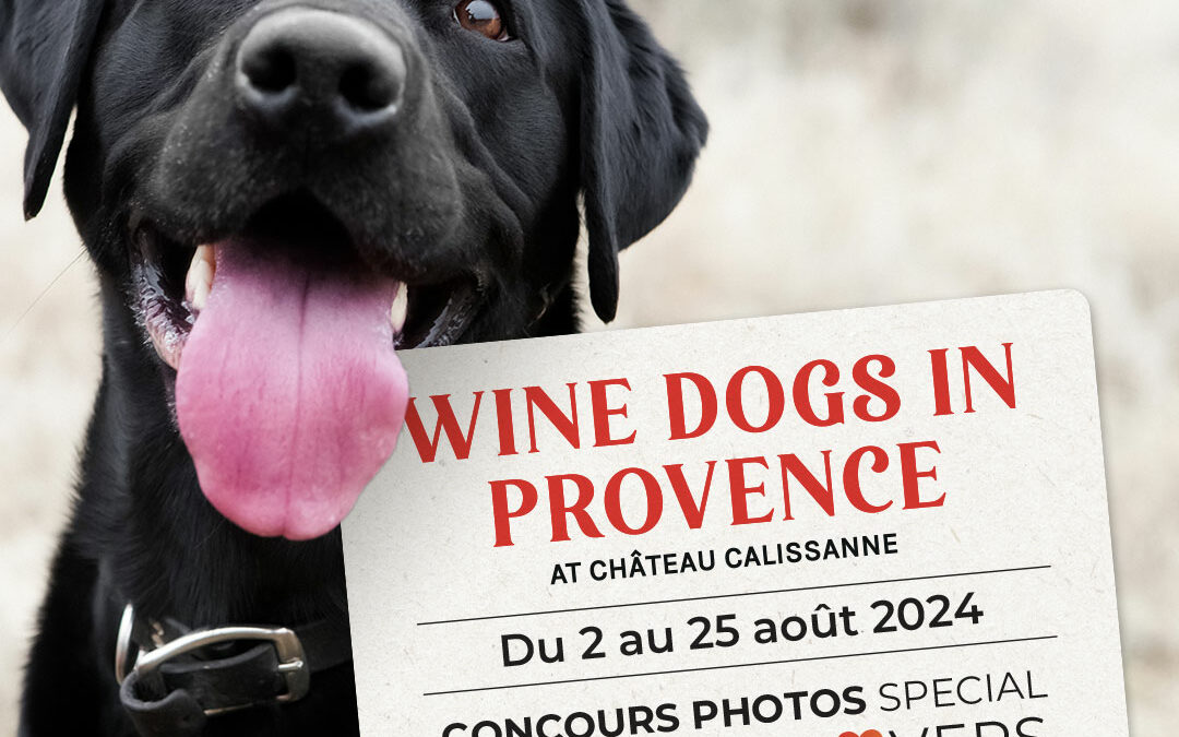 winedog-visuelcarre-11