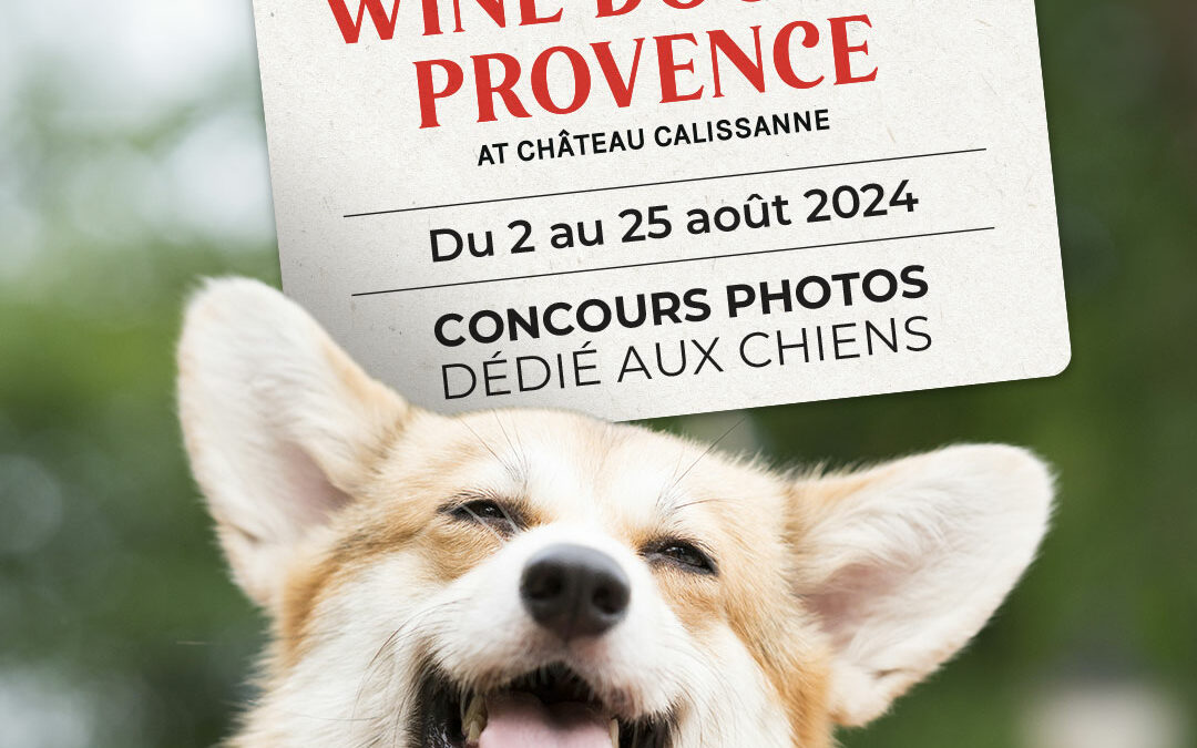 winedog-visuelcarre-3